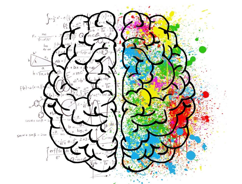 le cerveau fonctionne comme un mandala