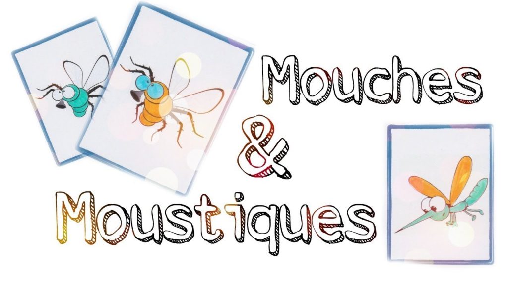 jeu mouches et moustiques flexibilité mentale