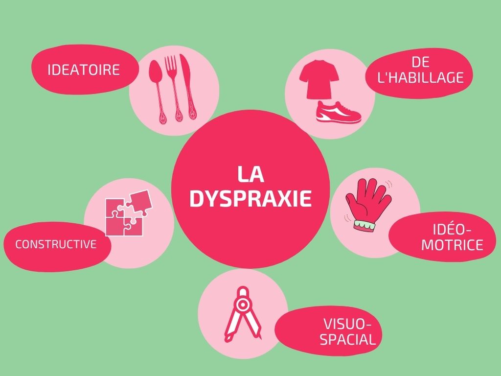 dyspraxie et orthopédagogie