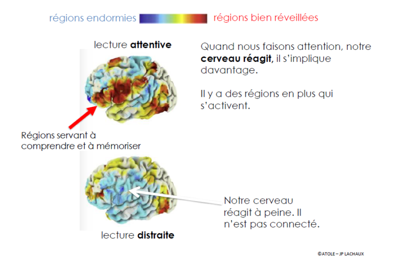 apprendre à être attentif