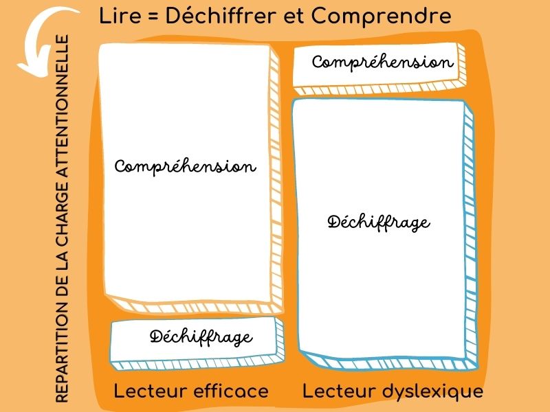 Dyslexie, Dysorthographie : comprendre les troubles du langage écrit